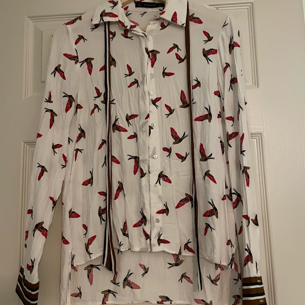 Zara button down with neck tie